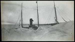 Image: S.S. Roosevelt from Sea Ice